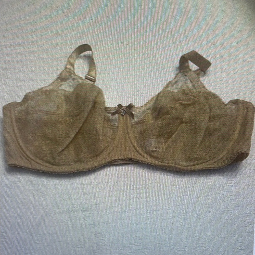 Elegant Tan Lace Bra